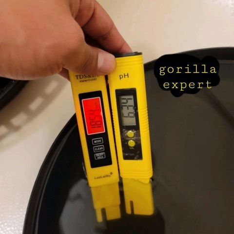 Expert Gorilla  growlog timeline photo