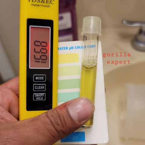 Expert Gorilla  growlog timeline photo