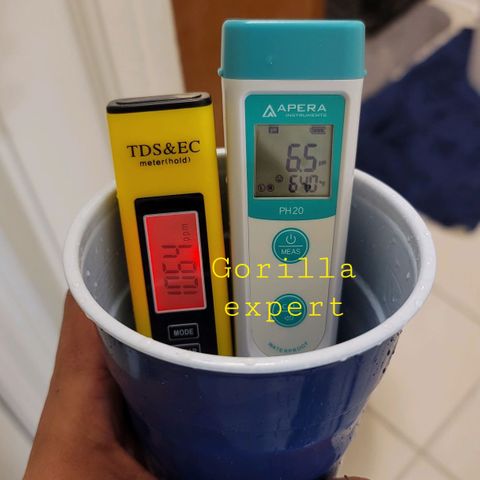 Expert Gorilla  growlog timeline photo