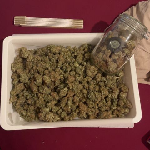 Special Kush #1 growlog photo: 120Gr Special Kush
280 Gr Critical 
RQS