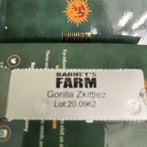 Runtz growlog photo: 13:00 
RH 65% T 26