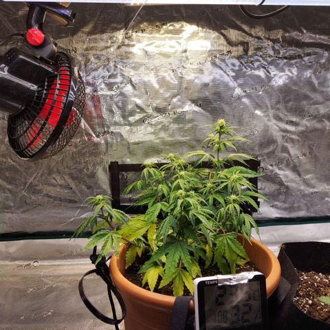 Matanuska growlog timeline photo