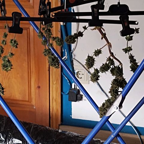 Matanuska growlog timeline photo