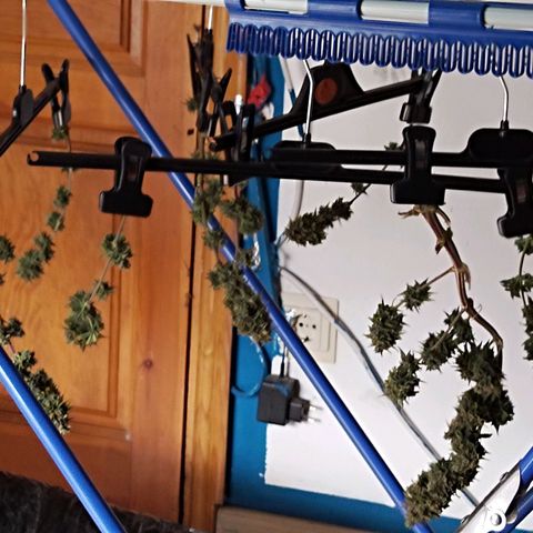 Matanuska growlog timeline photo