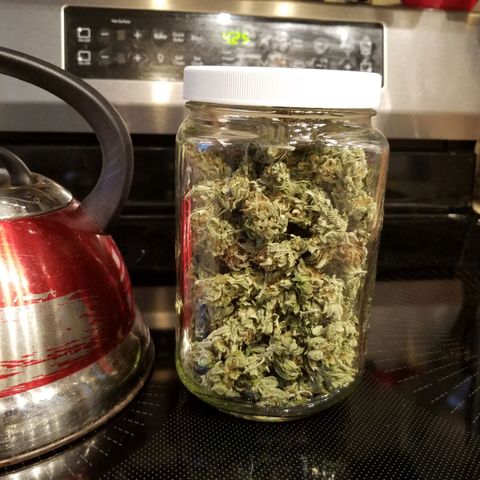 Indica growlog timeline photo
