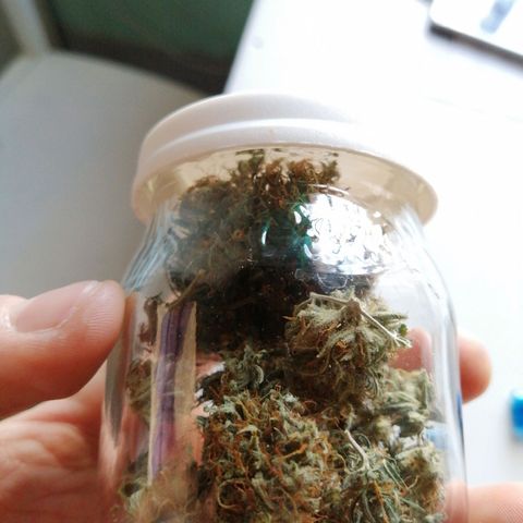 Pijababosa growlog timeline photo