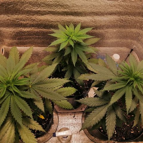 Regulares growlog photo: En noviembre cambio de luz