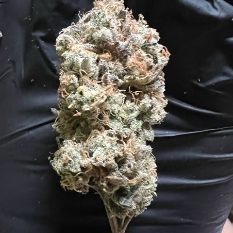 Blood bath growlog timeline photo
