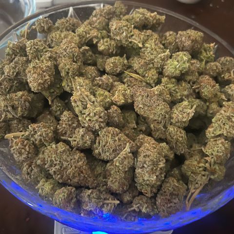 Blue Sunset Sherbet  growlog timeline photo