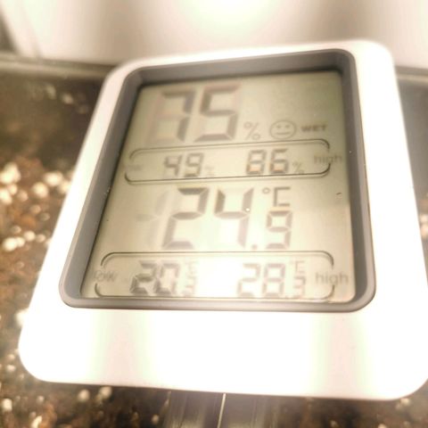 Pineapple express auto growlog timeline photo