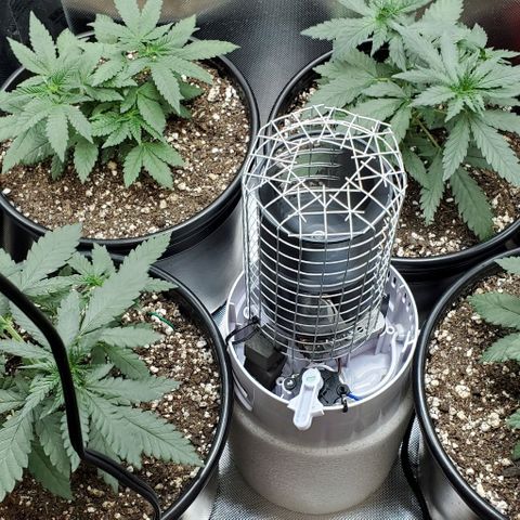 BGL v2 growlog timeline photo