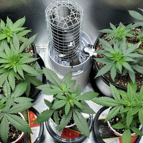 BGL v2 growlog timeline photo