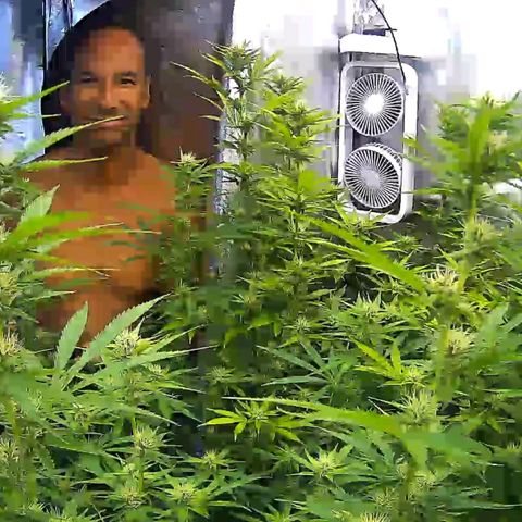 Bruce Banner Fast growlog timeline photo