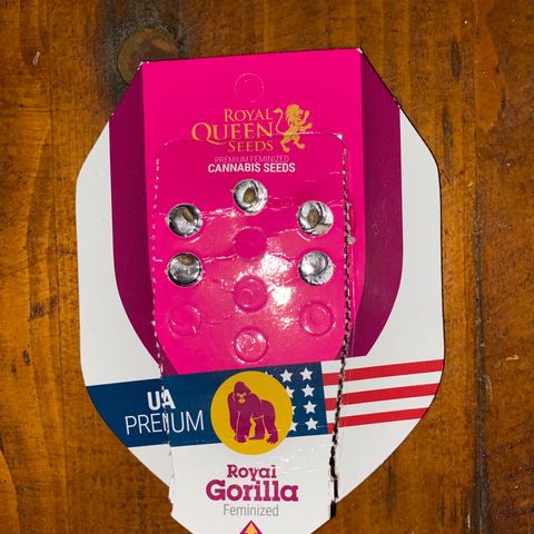 Royal Gorilla 🦍  growlog timeline photo