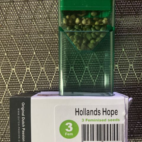 Hollands Hope  #1 growlog timeline photo