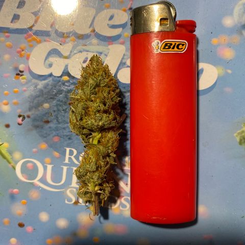 Al Patron #1 growlog timeline photo