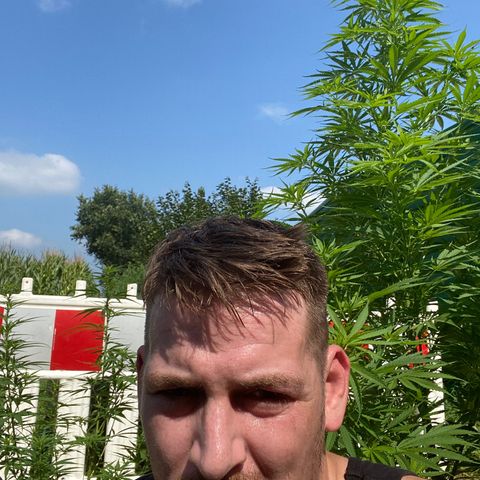 Hollands Hope  #1 growlog timeline photo