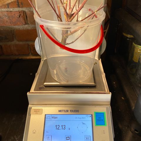 C- Vibez  #2 growlog timeline photo