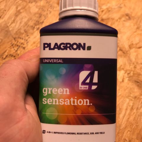 Purple Haze #1 growlog timeline photo