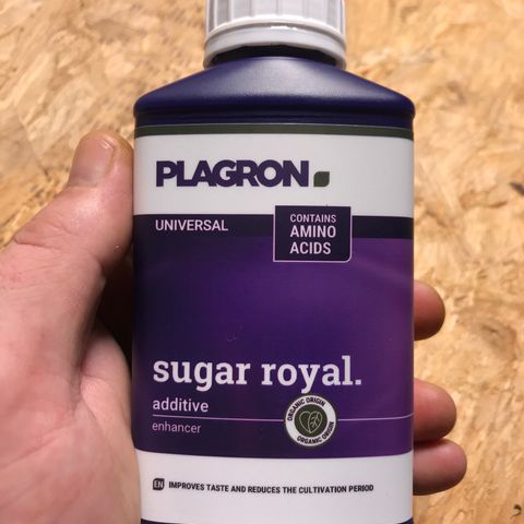 Purple Haze #1 growlog timeline photo