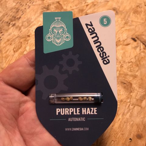 Purple Haze #1 growlog timeline photo