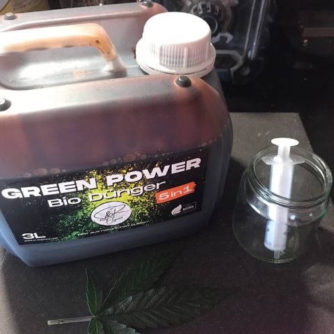Do- Si- Dos #3 growlog timeline photo