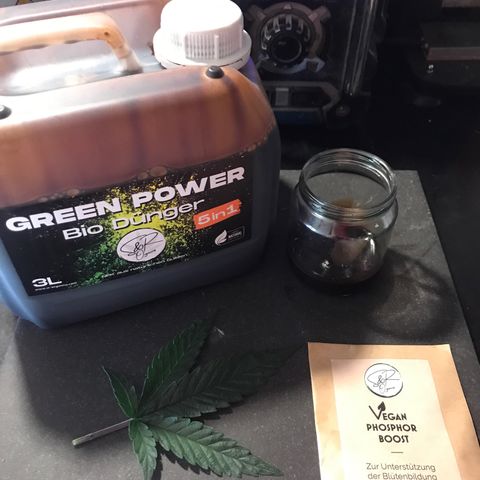 Do- Si- Dos #3 growlog timeline photo