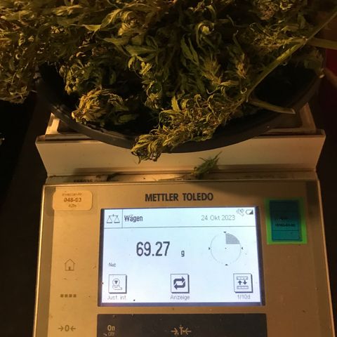 Hollands Hope  #1 growlog timeline photo