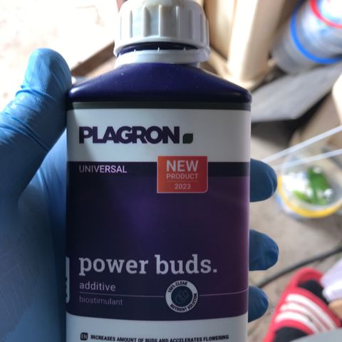 Purple Haze #1 growlog timeline photo