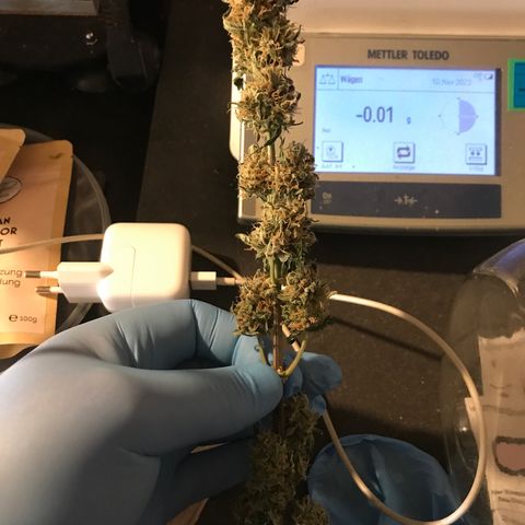 Titan F1 #1 growlog timeline photo