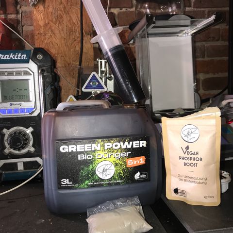 Royal Biscotti  #3 growlog timeline photo
