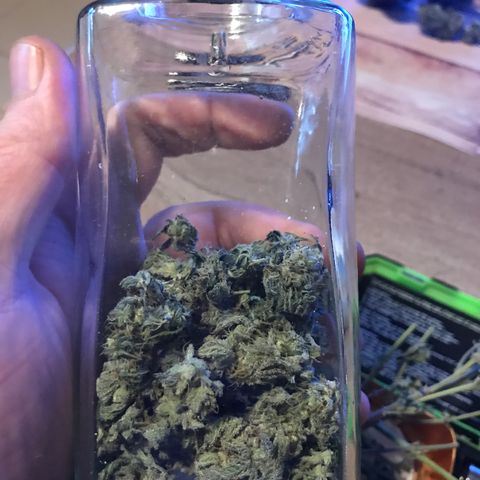 Royal Apple Fritter #3 growlog timeline photo