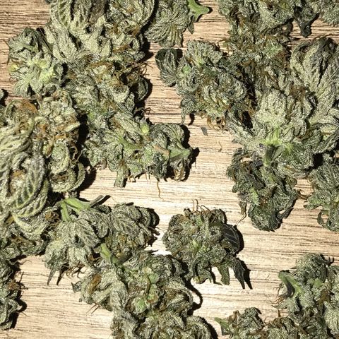Royal Biscotti  #2 growlog timeline photo
