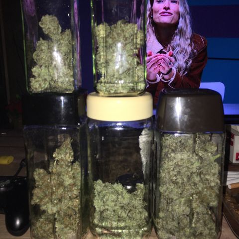 Royal Biscotti  #2 growlog timeline photo