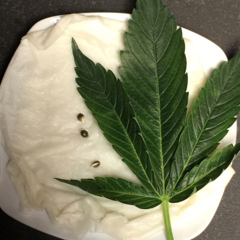 Gorilla Super Glue 2.0 growlog timeline photo
