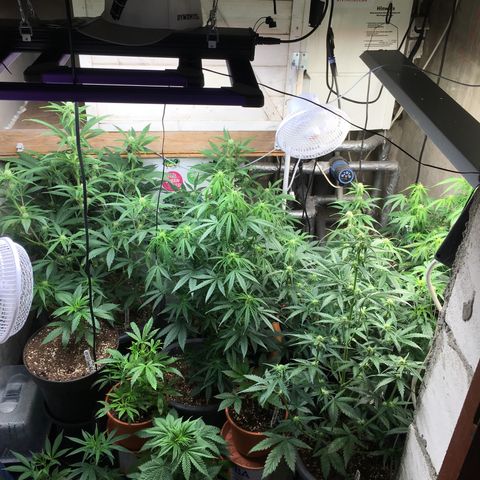 Ak47 #1 growlog timeline photo