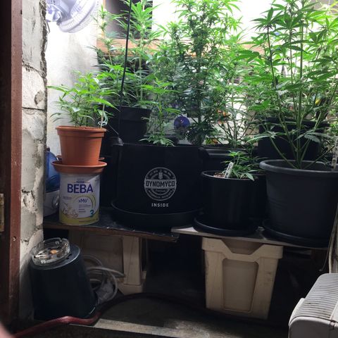 Ak47 #1 growlog timeline photo
