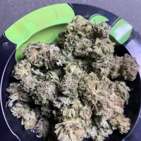Zkittlez #1 growlog timeline photo