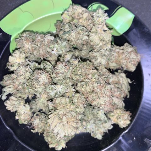 Zkittlez #1 growlog timeline photo