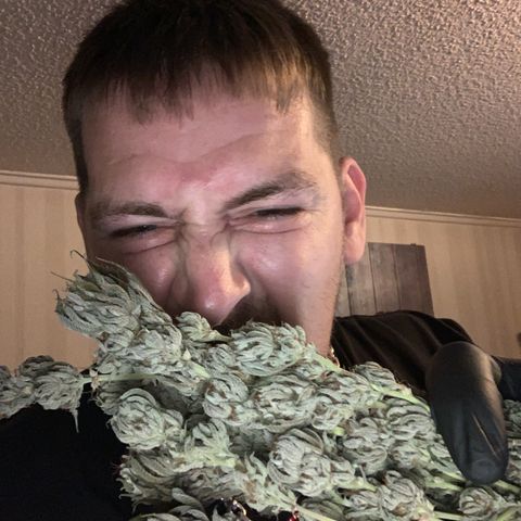 Lemon OG Kush #1 growlog timeline photo