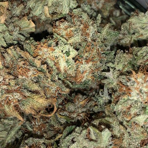 Ak47 #1 growlog timeline photo