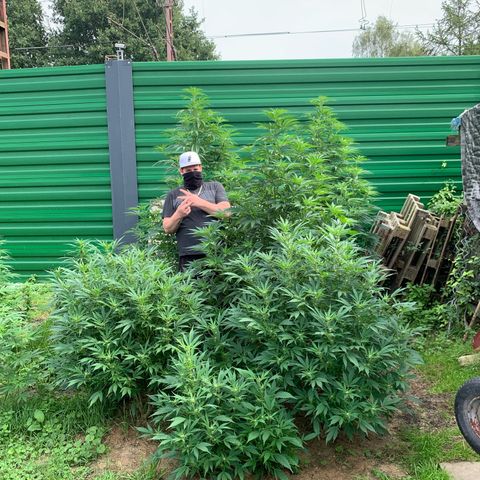 Big Yeti #1 growlog timeline photo