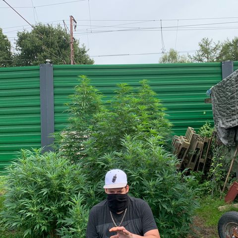 Big Yeti #1 growlog timeline photo