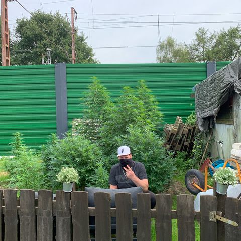 Big Yeti #1 growlog timeline photo