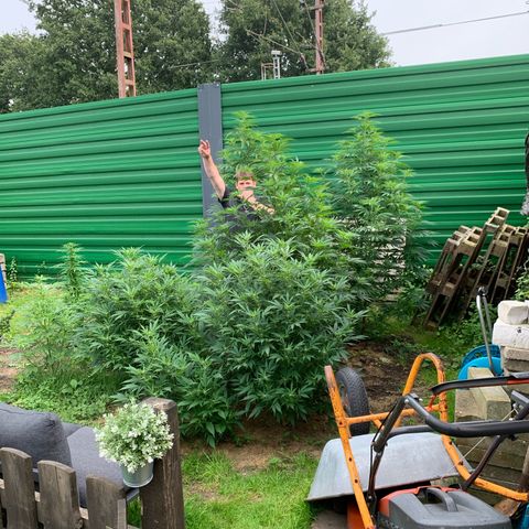 Big Yeti #1 growlog timeline photo