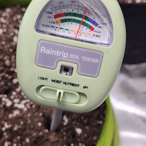 Jammy Dodgers #2 growlog timeline photo