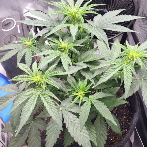 24K growlog timeline photo
