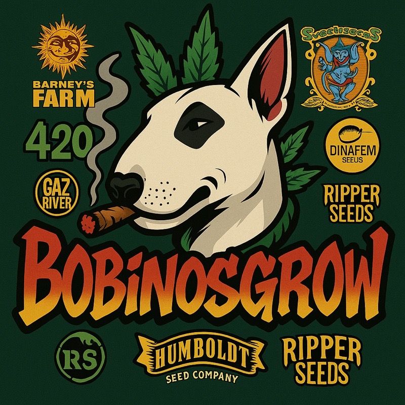 Avatar von BobinosGrow