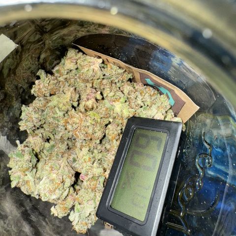 Astro Grape & Nanaz x BBC growlog timeline photo
