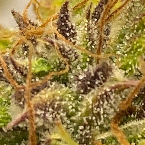 Wedding cake auto growlog photo: Almost ready